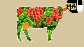 How Do I Eat Less Meat?